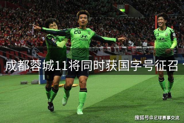 成都蓉城11将同时获国字号征召 创中国足球新纪录