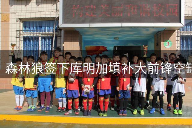 森林狼签下库明加填补大前锋空缺