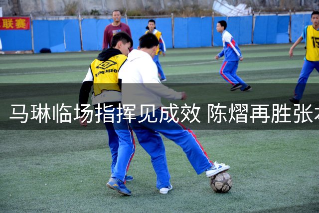 马琳临场指挥见成效 陈熠再胜张本美和显克制优势
